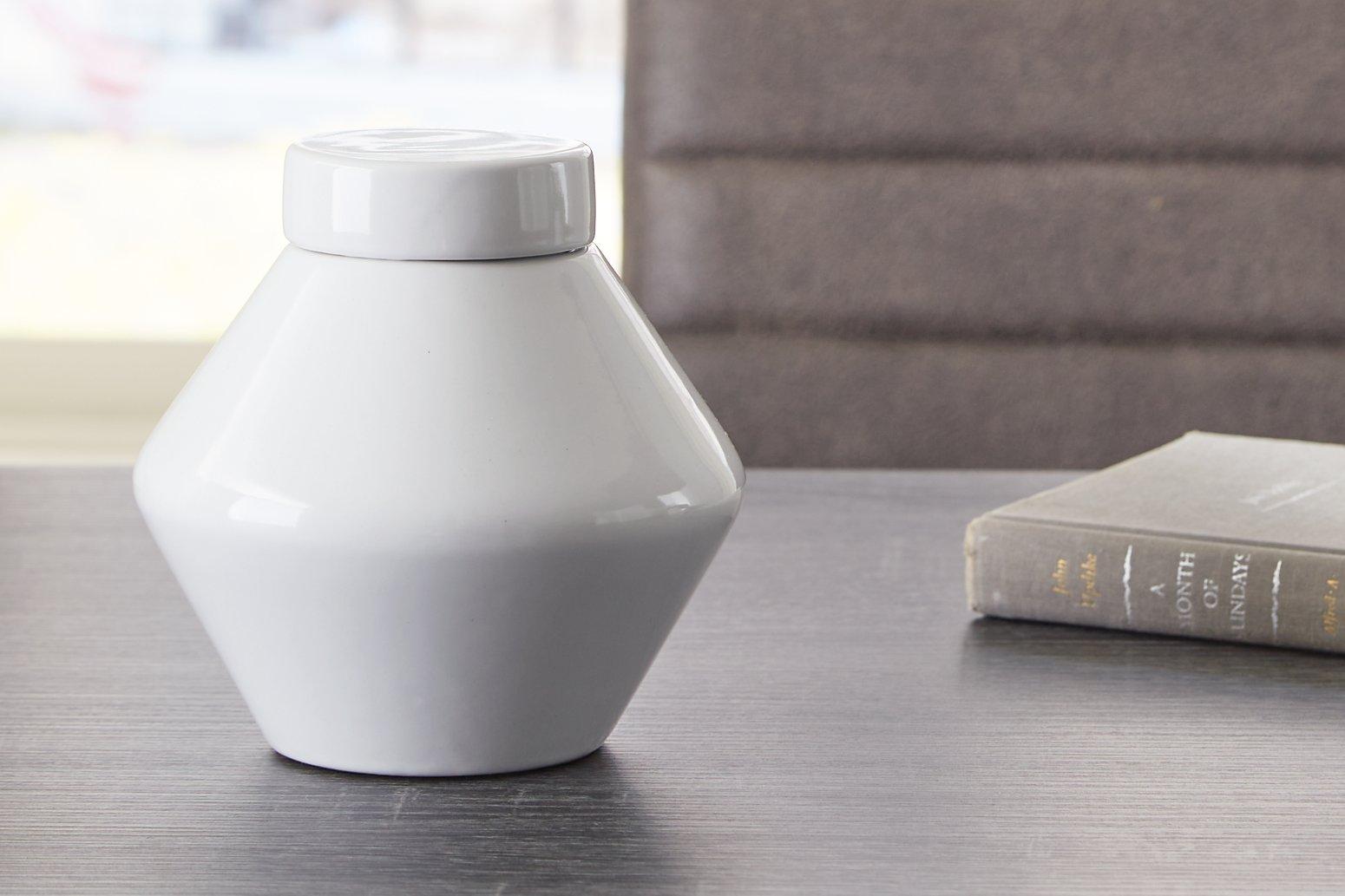 Domina Jar (Set of 2) - Furniture & Design Outlet (Kalamazoo,MI)