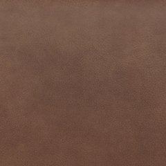 Status Check Recliner - Furniture & Design Outlet (Kalamazoo,MI)