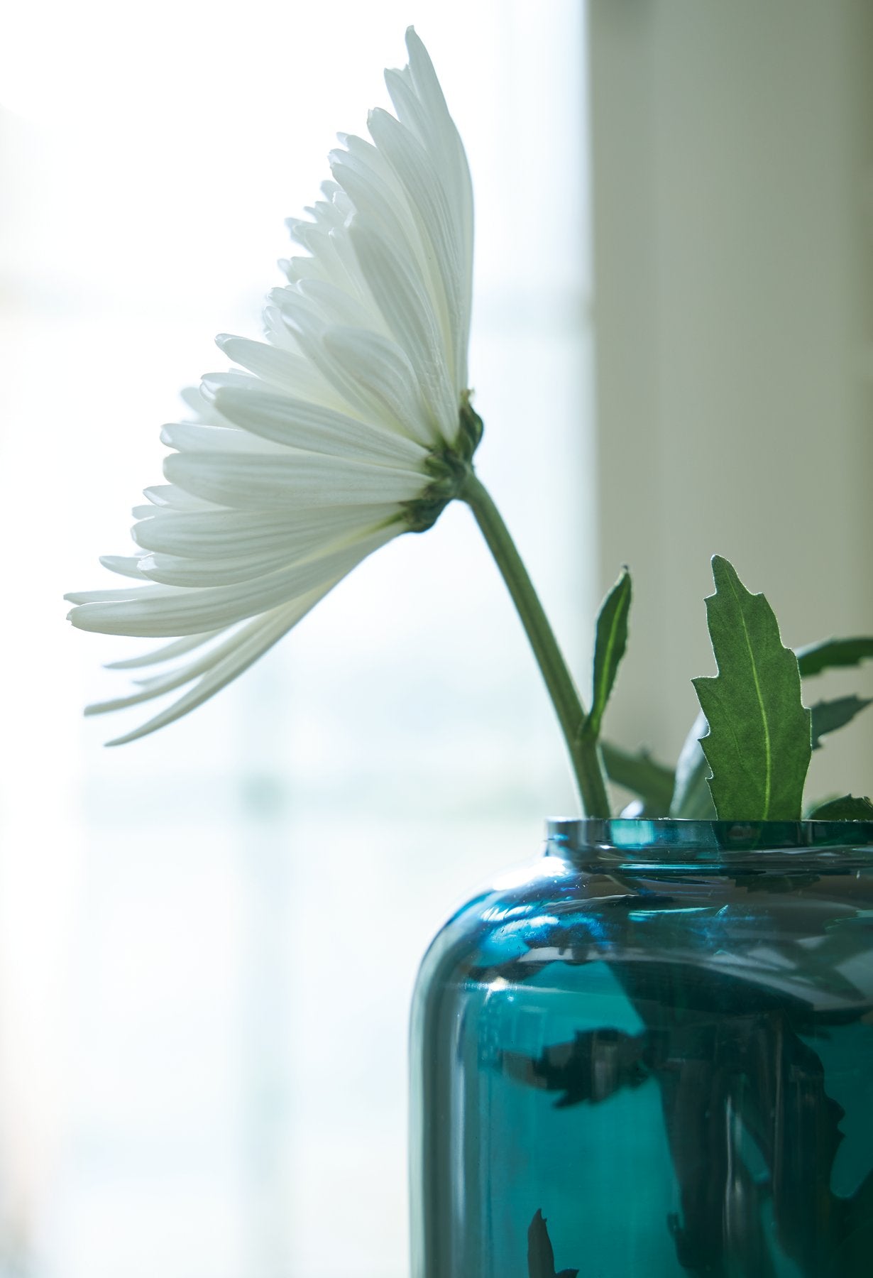 Inisland Vase - Furniture & Design Outlet (Kalamazoo,MI)