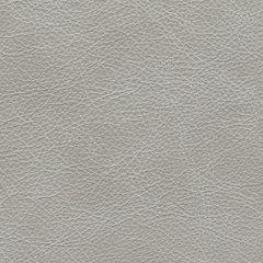 Amiata Upholstery Package - Furniture & Design Outlet (Kalamazoo,MI)