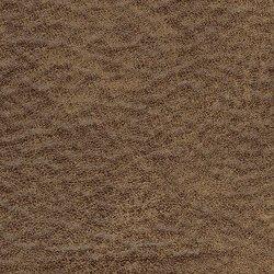 Larkinhurst Sofa - Furniture & Design Outlet (Kalamazoo,MI)