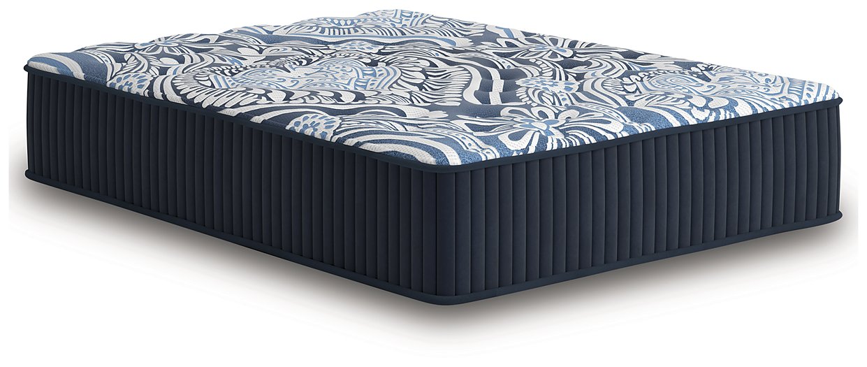 Firm Luxe 2.0 Mattress - Furniture & Design Outlet (Kalamazoo,MI)