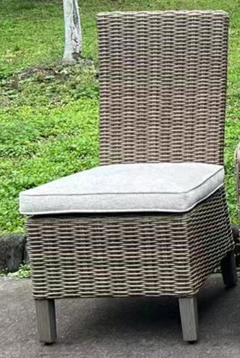 Laguna Heights Side Chair with Cushion (Set of 2) - Furniture & Design Outlet (Kalamazoo,MI)