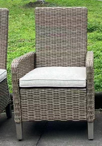 Laguna Heights Arm Chair with Cushion (Set of 2) - Furniture & Design Outlet (Kalamazoo,MI)