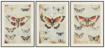 Jossletts Wall Art (Set of 3) - Furniture & Design Outlet (Kalamazoo,MI)
